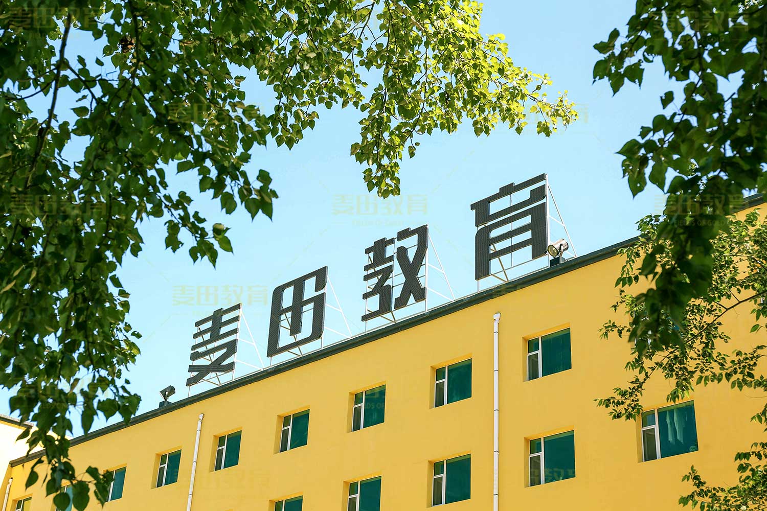 长春市高三艺考全日制冲刺学校