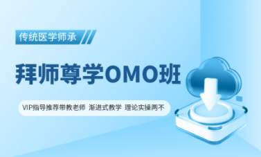 2028年传统师承拜师尊学OMO班