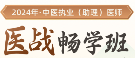 2025年中医助理医师医战畅学班