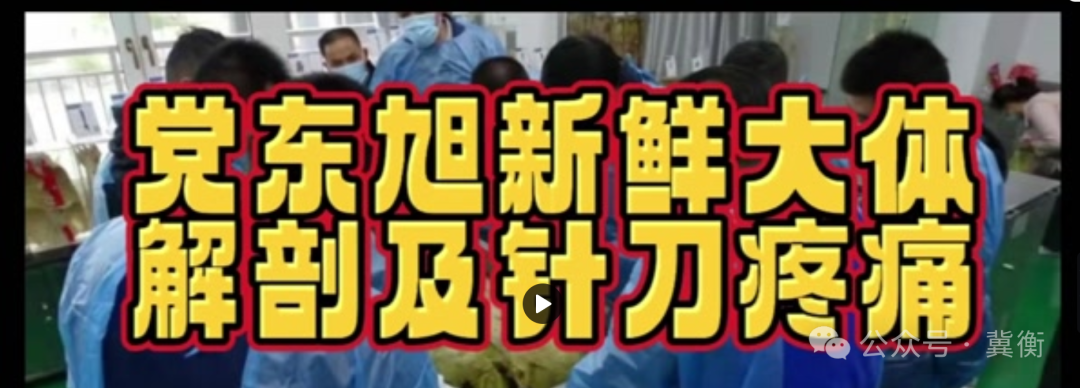党东旭全国针刀微创新鲜人体解剖及疼痛临床实战精讲班